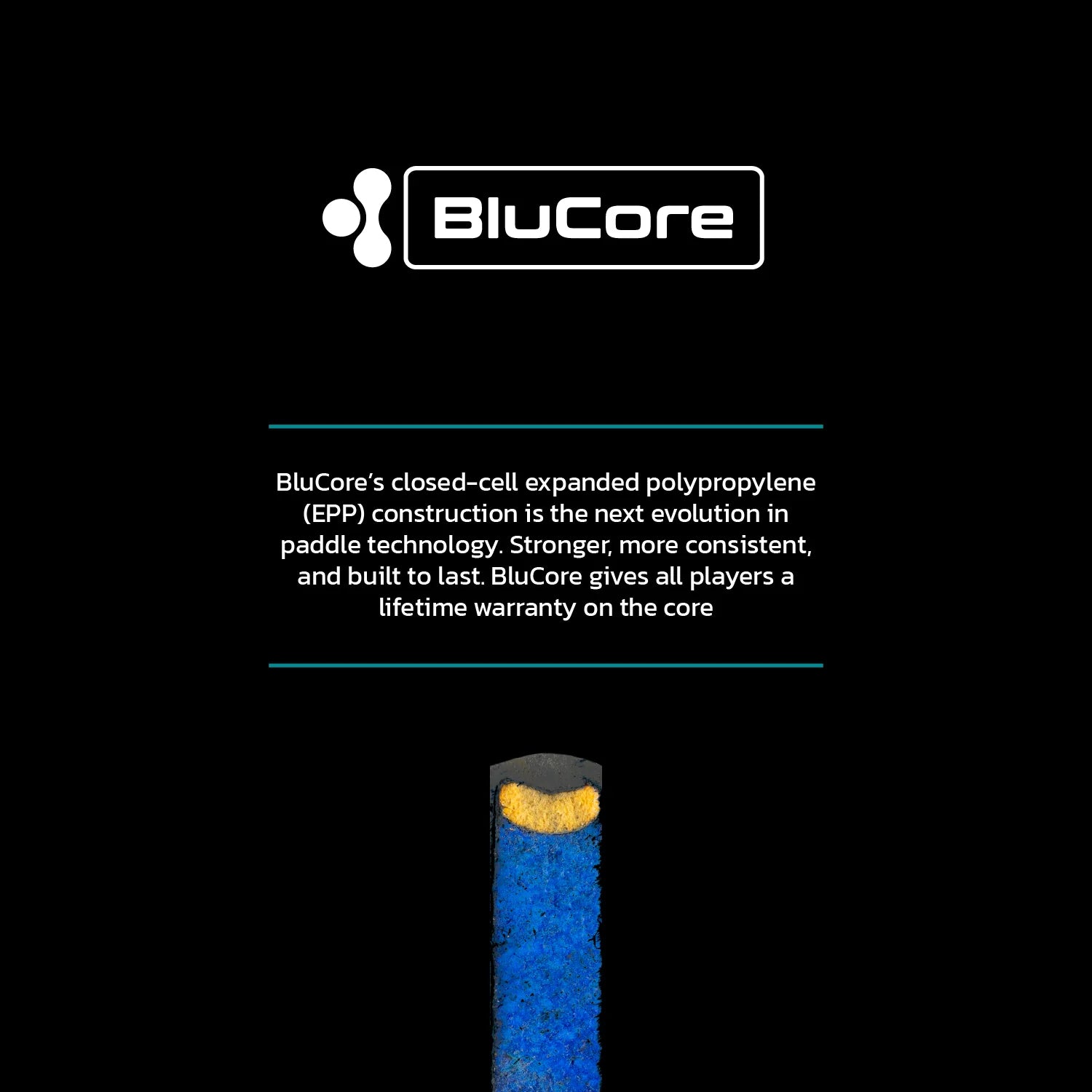 Warrior BluCore Standard - The Pickleball Store