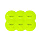 FS Pro Indoor Pickleball